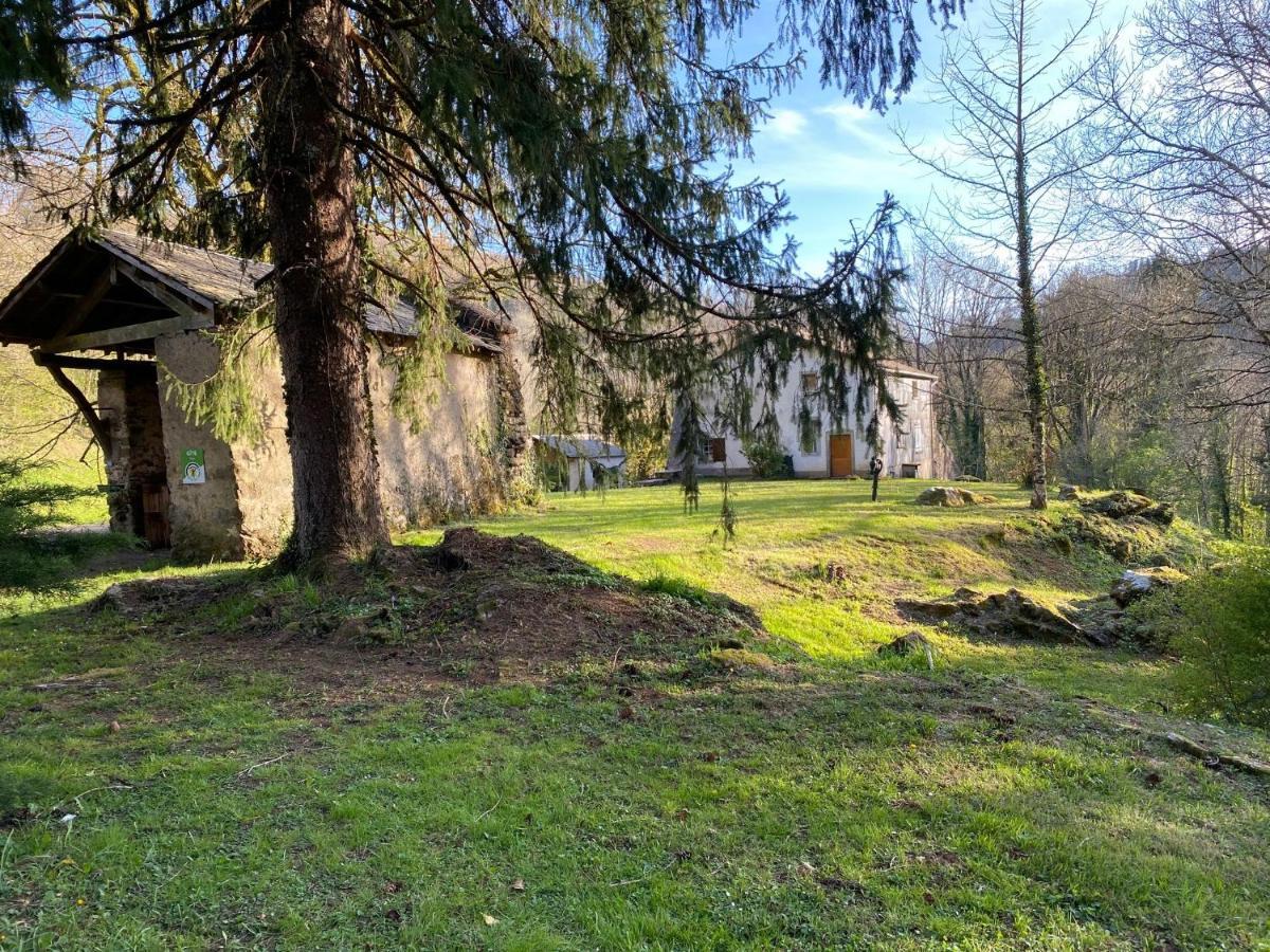 Le Tilleul De Bressolles Brassac  Buitenkant foto