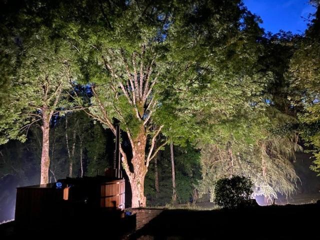 Le Tilleul De Bressolles Brassac  Buitenkant foto