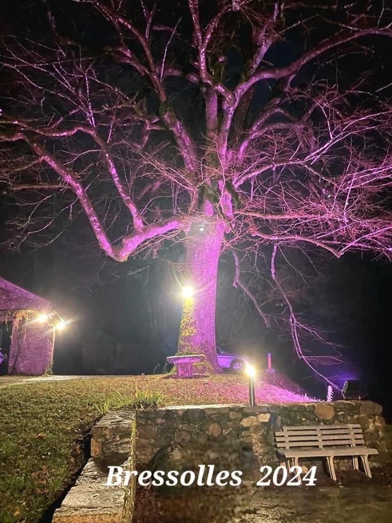 Le Tilleul De Bressolles Brassac  Buitenkant foto